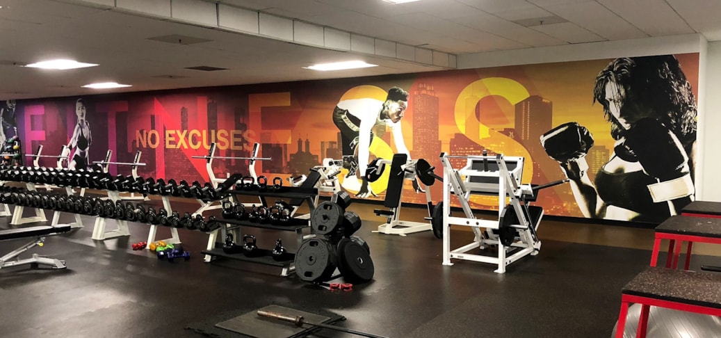 Wall Murals and Graphics